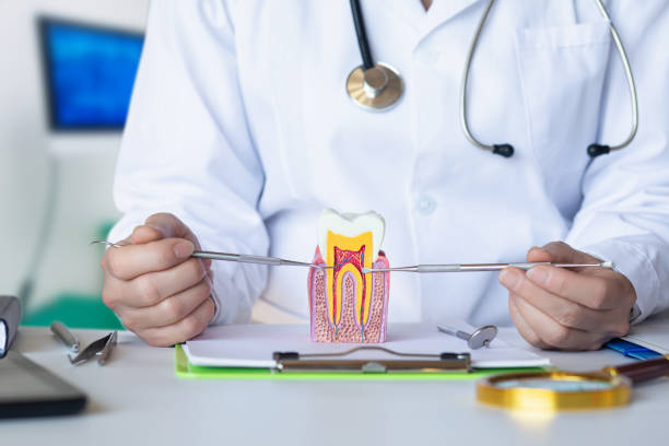 Best Emergency Orthodontic Repairs in South Barrington, IL